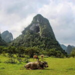 Ha Giang Cao Bang Loop 5 Days Private Tour with English Guide - What Makes This Tour Stand Out?