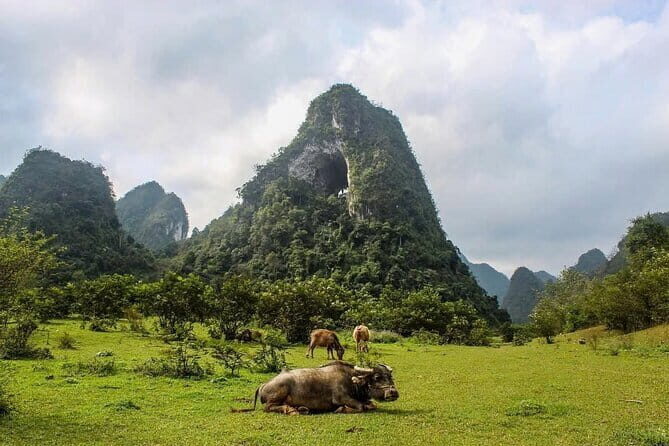 Ha Giang Cao Bang Loop 5 Days Private Tour with English Guide - What Makes This Tour Stand Out?