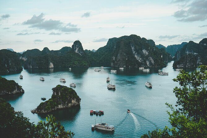 Ha Long Bay and Lan Ha Bay Cruise Experience - What Makes This Tour Stand Out?