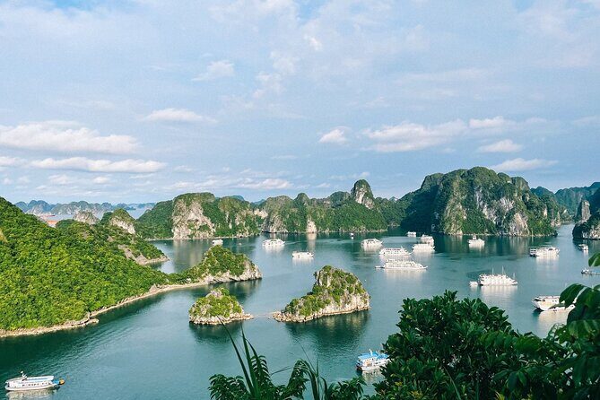 Ha Long Bay and Ninh Binh Gateway 2 Days 1 Night Tour - Who Will Appreciate This Tour?