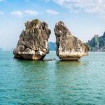 Ha Long Bay Cruise - Swimming, Meal, Kayaking In 1 Day - Is This Tour Worth It?