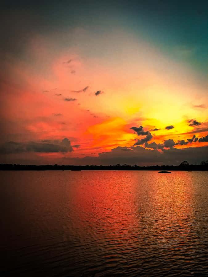 Habarana: Hiriwadunna Village Tour with Lunch - The Sum Up