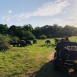 Habarana: Pure Village Life and Cultural Experience Day Tour - Who Would Love This Tour?