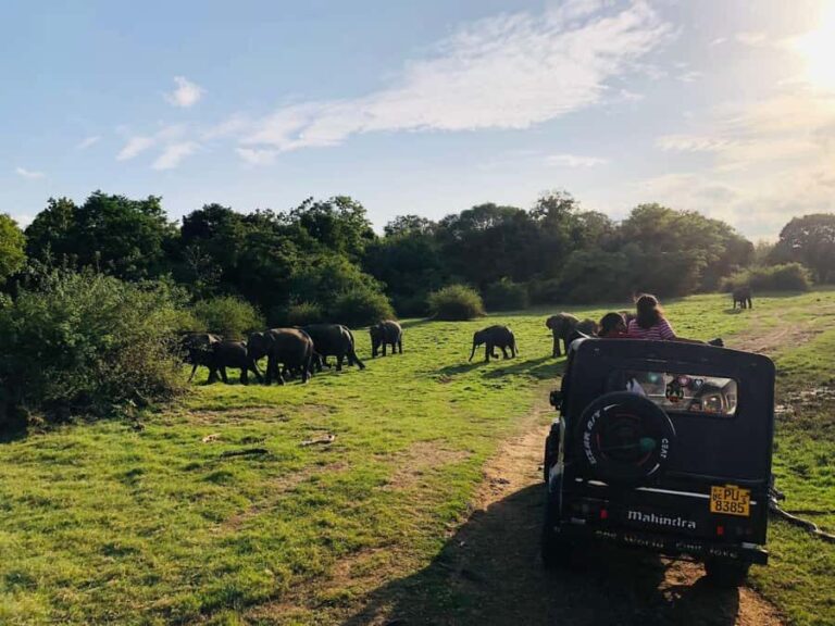 Habarana: Pure Village Life and Cultural Experience Day Tour - Who Would Love This Tour?