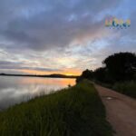 Habarana & Sigiriya: Night Safari to see nocturnal wildlife - The Wildlife You Might See