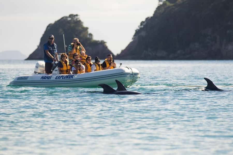 Hahei Explorer Cathedral Cove Boat Tour - Who Will Love This Tour?