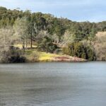 Hahndorf and Hills Wildlife Wonders - Authentic Traveler Insights