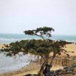 Haikou Local Life: Natural Volcano, Wetlands & Old Markets - Exploring the Wetlands at Wuyuan River Wetland Park