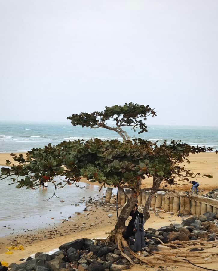 Haikou Local Life: Natural Volcano, Wetlands & Old Markets - Exploring the Wetlands at Wuyuan River Wetland Park