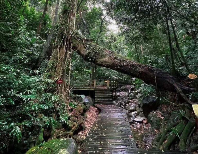 Hainan: A private day trip to Wuzhishan - Why This Tour Offers Great Value  