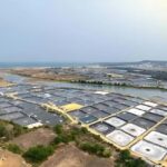 Hainan: Xiantian Village, Junling Temple, & Qizi Bay Tour - An In-Depth Look at the Tour Experience