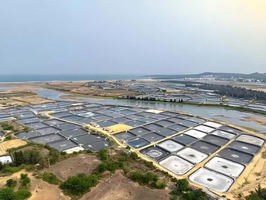 Hainan: Xiantian Village, Junling Temple, & Qizi Bay Tour - An In-Depth Look at the Tour Experience