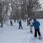 Hakkoda Area Snowshoe Adventure Tour - The Itinerary Breakdown