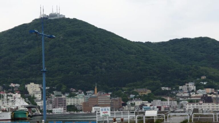 Hakodate: a half-day tour with Government Licensed guide - Detailed Breakdown of the Itinerary