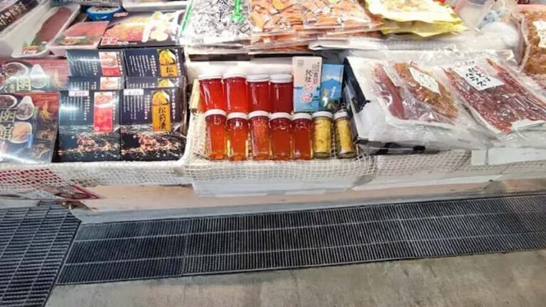 Hakodate: Full-Day Guided Walking Tour with Guide Experience - Final Thoughts