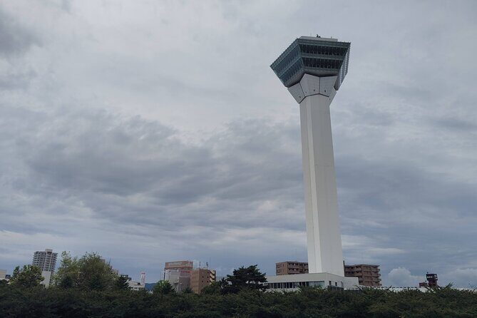 Hakodate: Goryokaku Star Fort & Tower Guided History Tour - Why This Tour Works