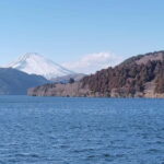 Hakone Adventure: Explore Natures Beauty and Tranquility - Who Is This Tour Best For?