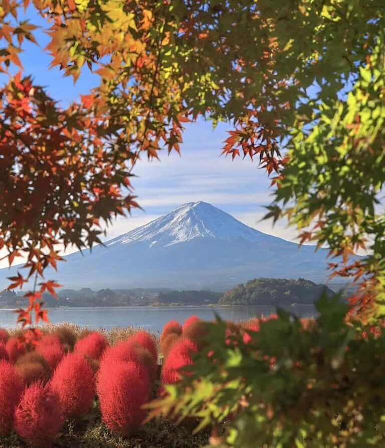Hakone And Mount Fuji Private Tour With Hotel Pick Up - Practicalities and Value