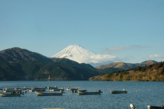 Hakone Full-Day Private Tour Hotel Pickup and Highlights - What Travelers Say