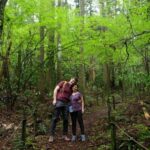 Hakone Hachiri: Old Tokaido Highway Hiking Half-day tour - The Full Experience: Step-by-step Breakdown