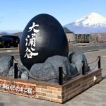 Hakone & Mount Fuji Day Trip:Lake Ashi Torii Gate & Oshino Hakkai - Practical Aspects and Value