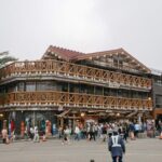 Hakone & Mount Fuji Day Trip:Lake Ashi Torii Gate & Oshino Hakkai - Practical Details & Traveler Tips