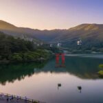 Hakone Private Full-Day Escape with Regional Food Experience - An In-Depth Look at the Hakone Full-Day Private Tour
