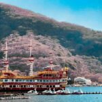 Hakone Private Tour: Bespoke Day from Your Hotel - The Itinerary in Detail