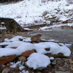 Hakuba: Snow Monkeys and Alpine Escape Private Tour - The Experience: What Travelers Can Expect