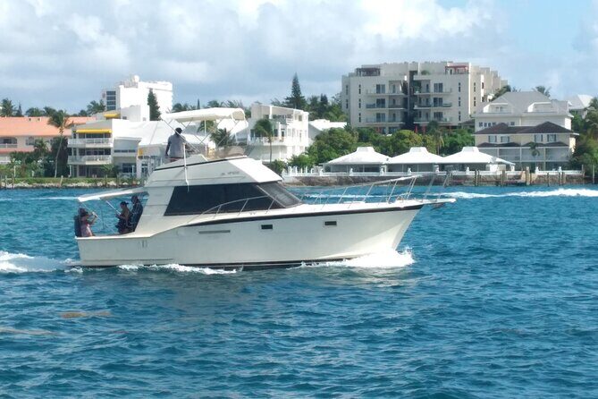 Half-Day at Green Cay Bahamas Snorkeling with Turtles - Practical Details to Keep in Mind