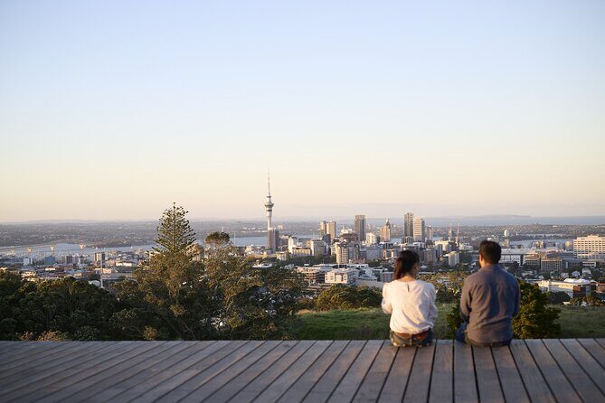 Half-Day Auckland City Sightseeing Small Group Tour - Why Choose This Tour?