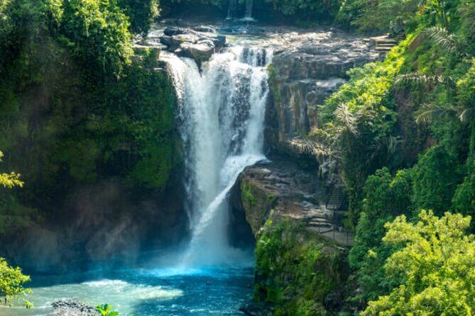 Half Day Bali Private Tour - The Experience: Practical Insights