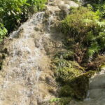 Half Day Chiang Mai Sticky Waterfall and Hotel Transfer - Who Would Love This Tour?