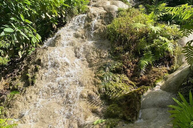 Half Day Chiang Mai Sticky Waterfall and Hotel Transfer - Who Would Love This Tour?