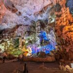 Half-Day Cruise Day Tour in Halong Bay with Lunch - The Itinerary in Detail