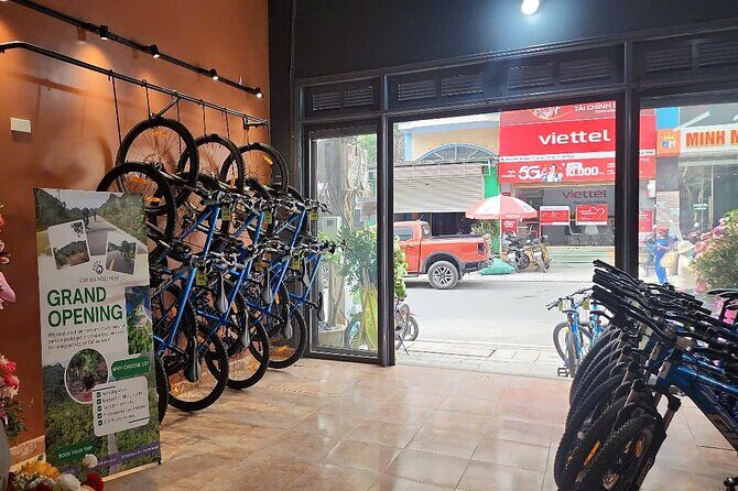 Half-Day Cycling Tour on Cat Ba Island - Good To Know at a Glance