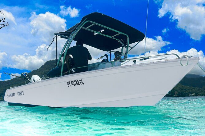 Half-Day Discovery of Moorea Lagoon by Private Boat. - Who Is This Tour Best For?