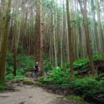 Half Day E Bike Tour in Kasagi Countryside - Who Is This Tour Best For?