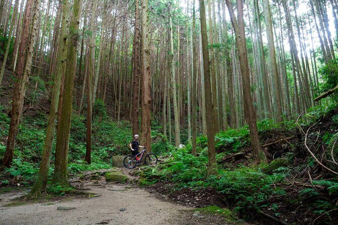 Half Day E Bike Tour in Kasagi Countryside - What’s Included and Practical Details
