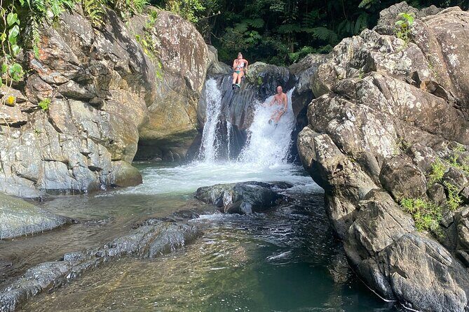 Half-Day El Yunque and Waterslides Adventure from Fajardo - In-Depth Breakdown of the Itinerary
