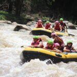 Half Day Elephant care and Whitewater Rafting Adventure - Who Will Love This Tour?