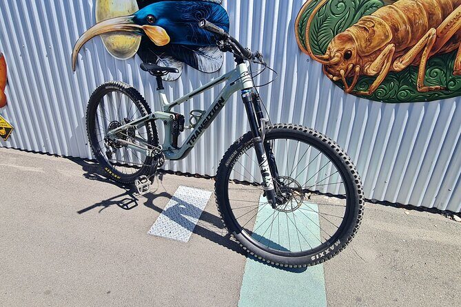 Half Day Full Suspension Acoustic Mountain Bike Rental - The Sum Up