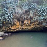 Half-Day Grenada Tour With Easy - Who Should Book This Tour?