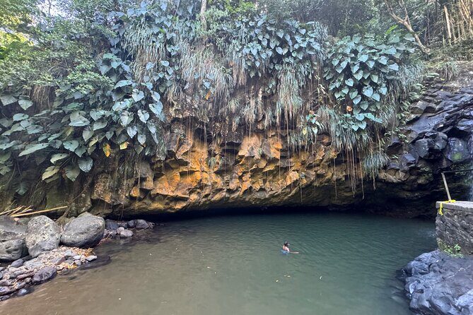 Half-Day Grenada Tour With Easy - Who Should Book This Tour?  