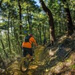 Half Day Guided Mountain Biking Adventure in Nelson - What to Bring and Practical Details