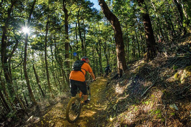 Half Day Guided Mountain Biking Adventure in Nelson - What to Bring and Practical Details
