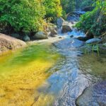 Half Day Ha Giang Jeep Tour: Rice Terrace + Waterfall + City - What Makes This Tour a Great Choice?