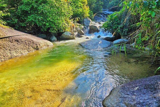 Half Day Ha Giang Jeep Tour: Rice Terrace + Waterfall + City - What Makes This Tour a Great Choice?