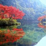 Half-Day Hangzhou Jiuxi Stream and Tea Plantation Experience - Why This Tour Offers Great Value