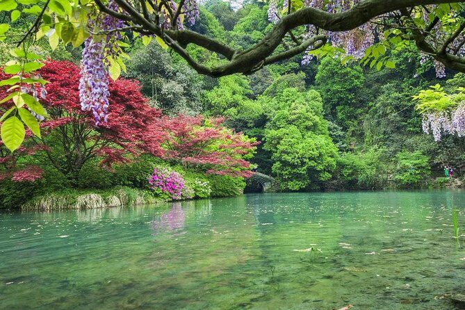 Half-Day Hangzhou Nine Creeks Hiking Tour with Tea Plantation Experience - The Itinerary: A Closer Look at the Experience